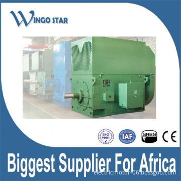 high voltage water proof electric motors